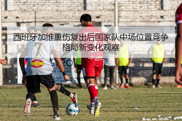 img_1780599443573_76_1_992.jpg