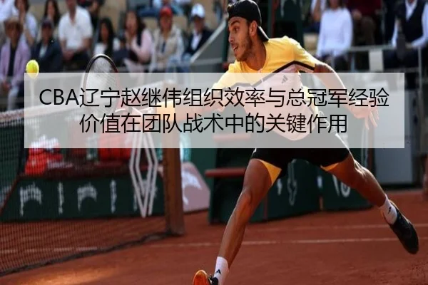 CBA辽宁赵继伟组织效率与总冠军经验价值在团队战术中的关键作用